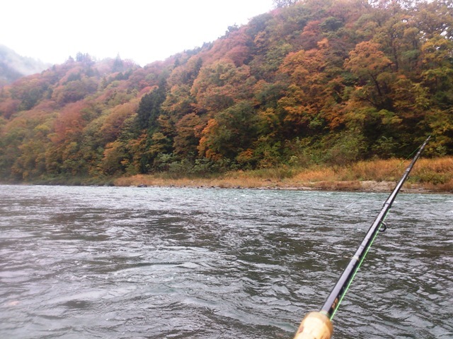 犀川(今年11回目)_c0157482_10422099.jpg