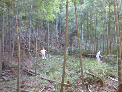 f0053885_1956415.jpg