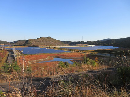 f0053885_19595535.jpg