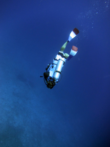 今シーズ初シミラン!!!!_f0144385_19495107.jpg