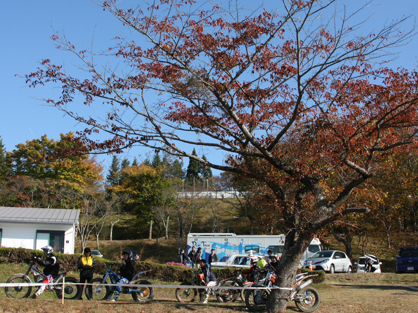 d0244687_959797.jpg