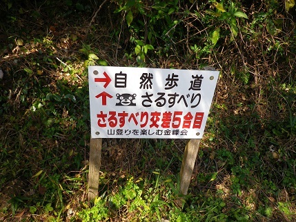 第２２回　金峰三山山岳マラソン　(後半)_e0048994_20352414.jpg