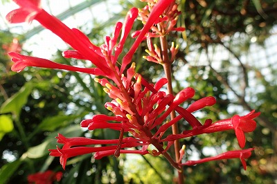 f0203094_13601.jpg