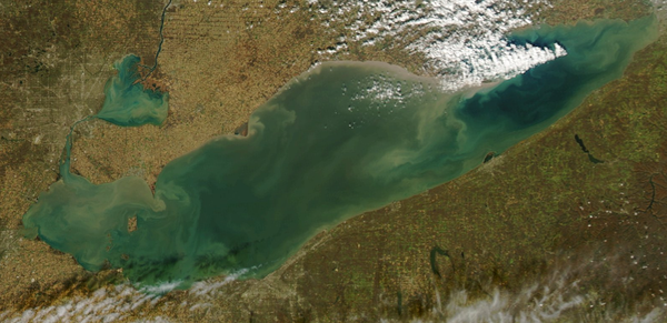d0145899_21453918.png
