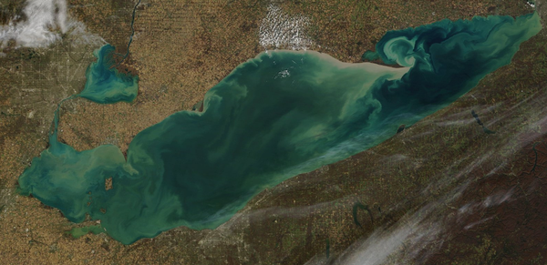 d0145899_2223197.png