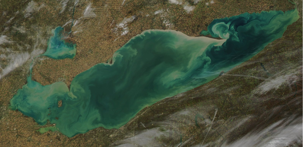 d0145899_222544.png