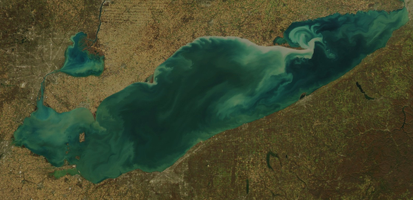 d0145899_2232494.png