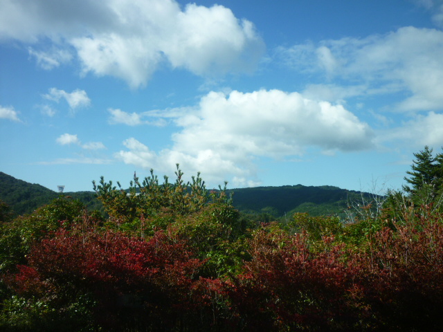 MIHO museum_e0326699_1763864.jpg