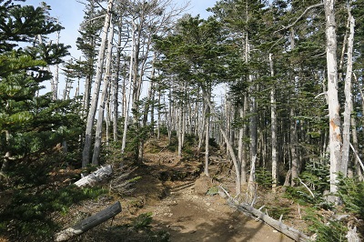 a0158702_1812991.jpg