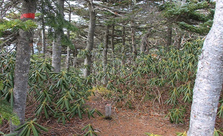 a0158702_18141284.jpg