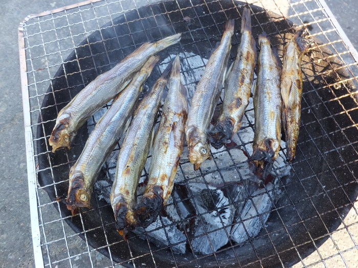 ししゃも vs カレーラーメン_c0226202_22113314.jpg
