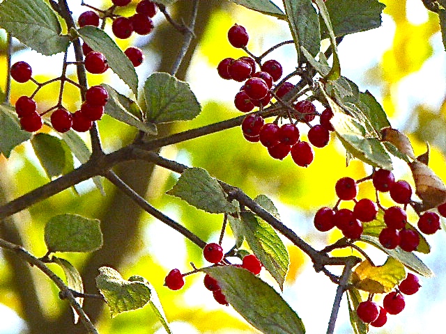 a0080610_10103796.jpg