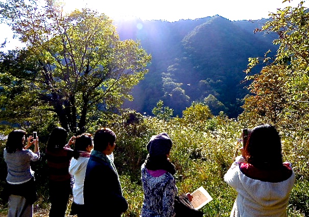 a0080610_1052830.jpg