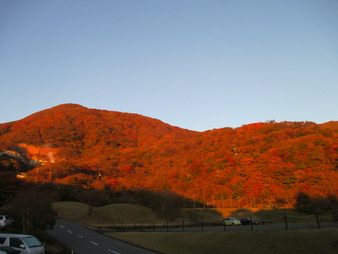 b0183111_23404863.jpg
