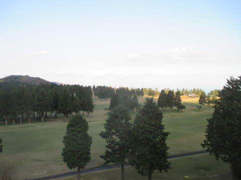b0183111_915649.jpg