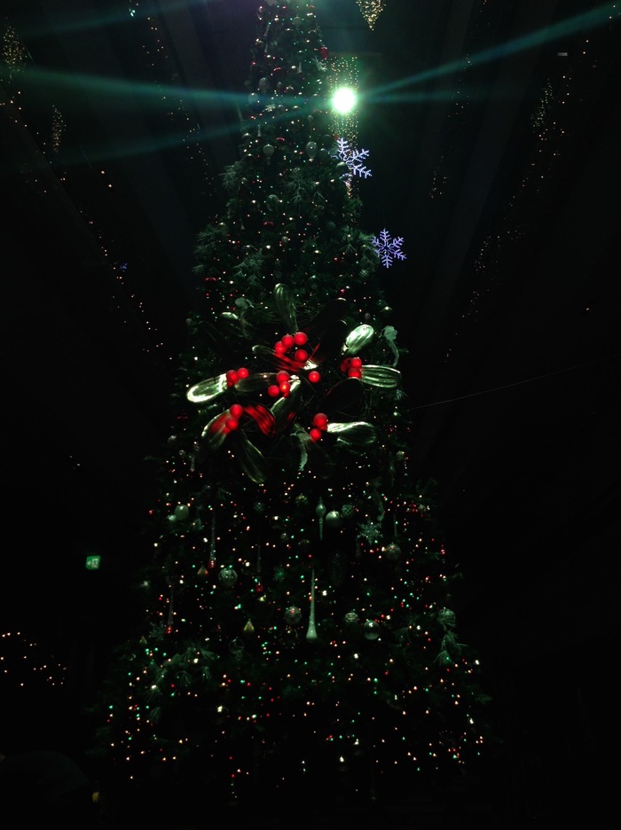 表参道ヒルズ クリスマスイルミネーション15 Orlando 表参道ヒルズ クリスマスイルミネーション15 Orlando