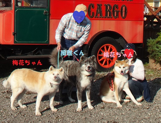 秋田犬と一緒にＢＢＱ♪（その１）_f0121712_14412752.jpg