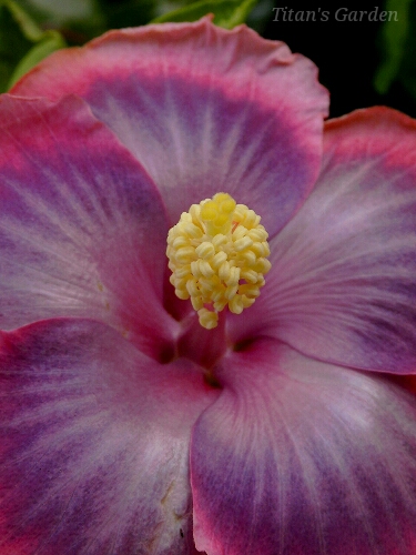b0099813_075068.jpg