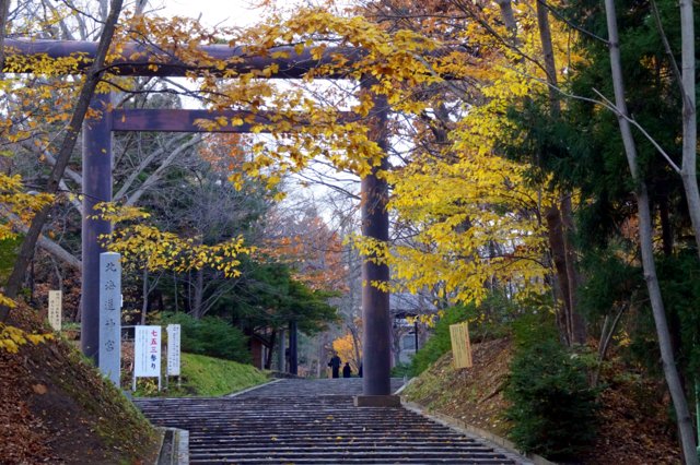 2015年11月5日(木)　 紅葉を訪ねて⑤（円山＆北海道神宮）_c0171816_19462369.jpg
