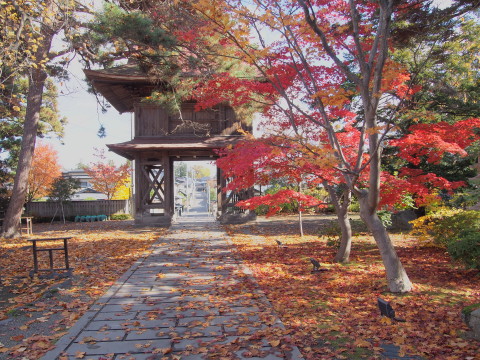 b0147224_18474551.jpg