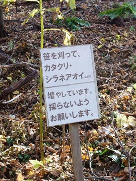 c0204725_13523659.jpg