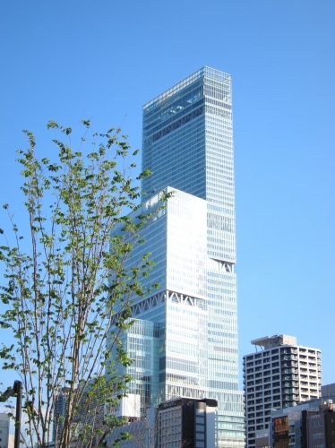 d0336530_14512939.jpg