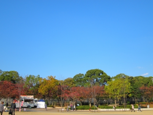 d0336530_14513352.jpg