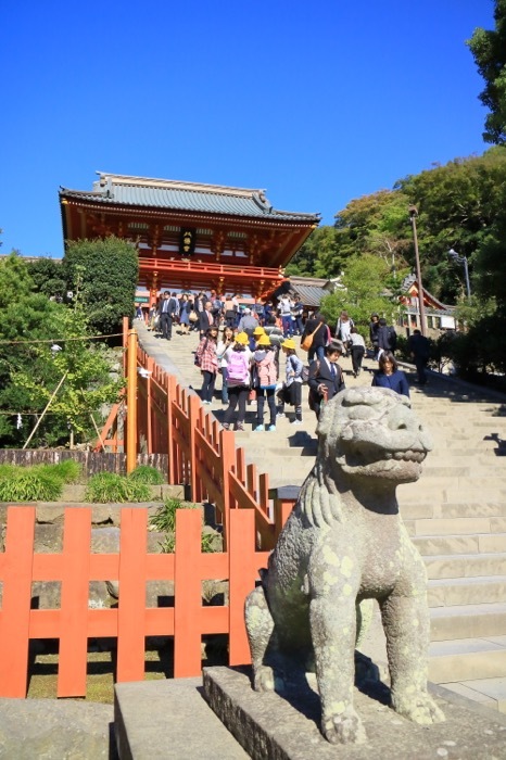 鎌倉 2 〜鶴岡八幡宮〜 _f0084337_22354527.jpg