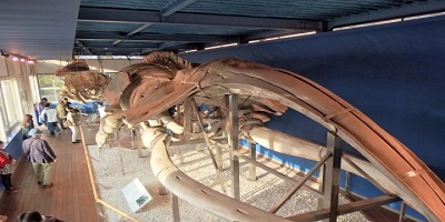 c0097838_12442449.jpg