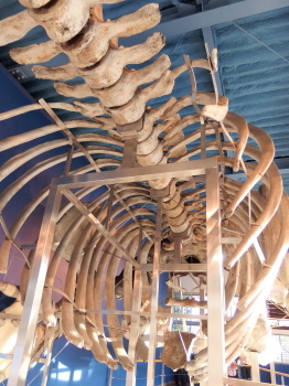 c0097838_13525934.jpg