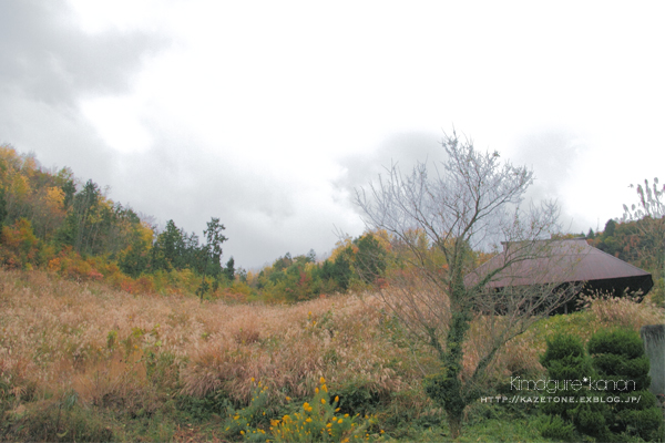 Autumn*days ②**「山粧う」季節_b0197639_16454770.jpg