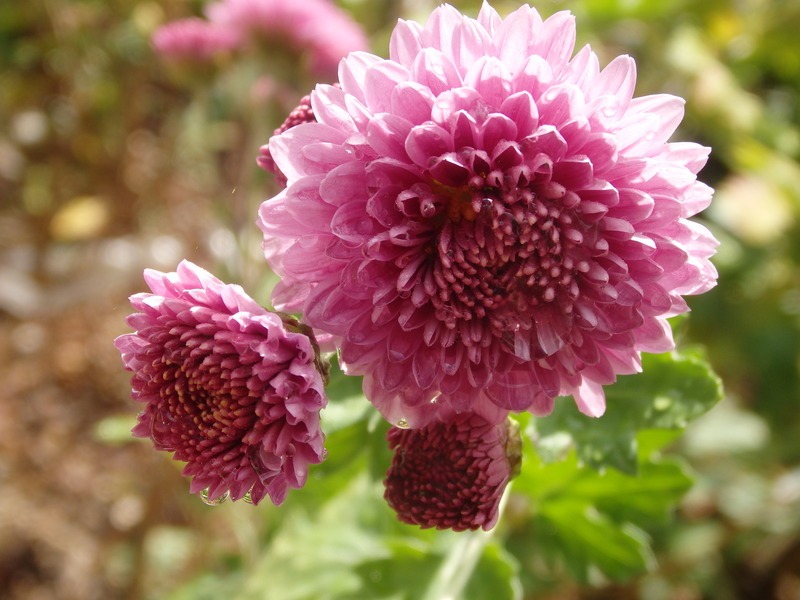 a0054240_22262630.jpg