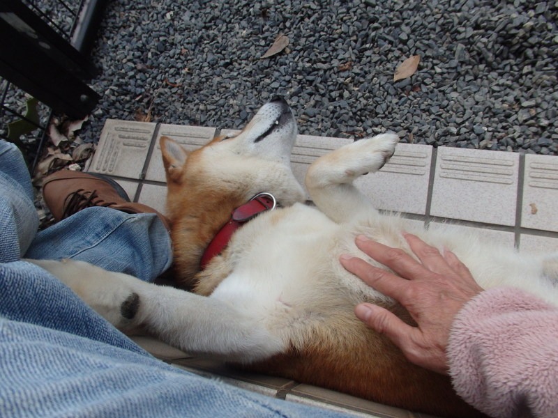 a0054240_23112758.jpg