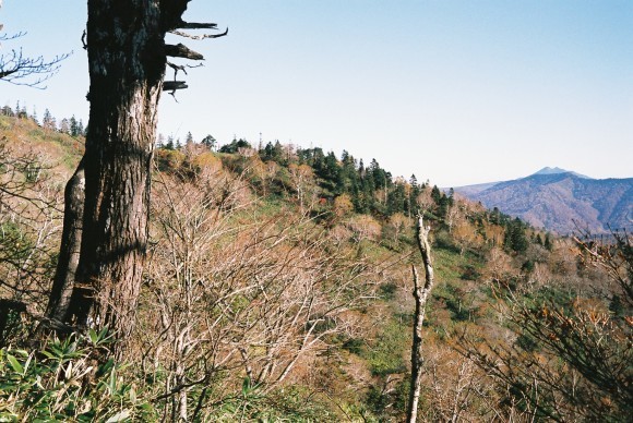 f0251840_16192210.jpg