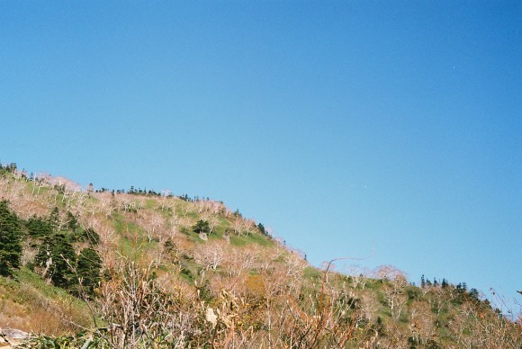 f0251840_16192488.jpg