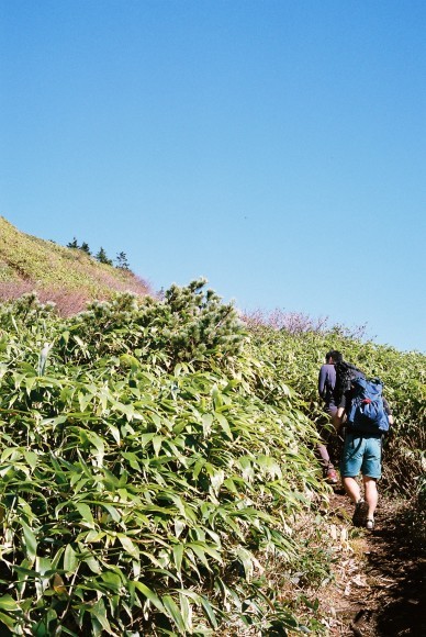 f0251840_16370967.jpg