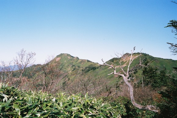 f0251840_16373371.jpg