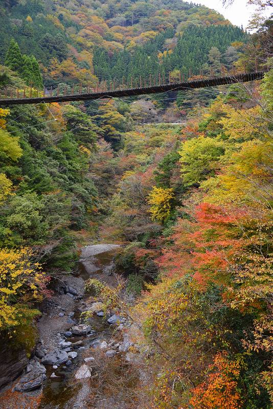 「九州旅行」総集編20151028～1103_e0237645_16122938.jpg