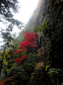 紅葉の榛名神社_a0061057_1175552.jpg