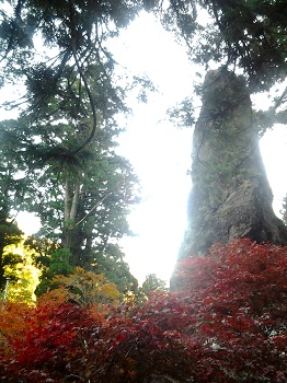 紅葉の榛名神社_a0061057_1192359.jpg