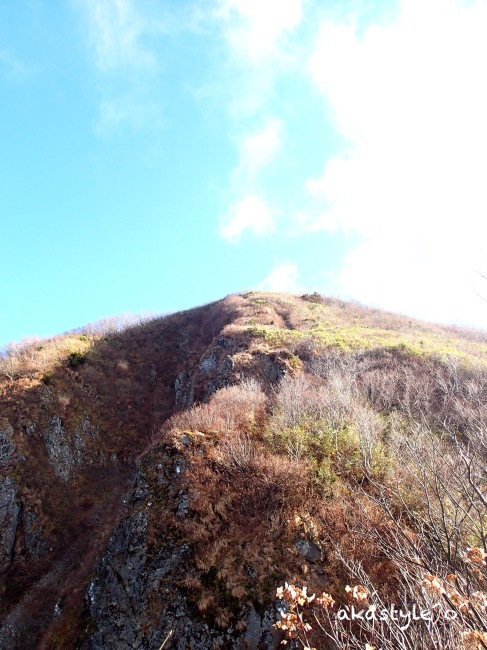 b0321359_17123022.jpeg