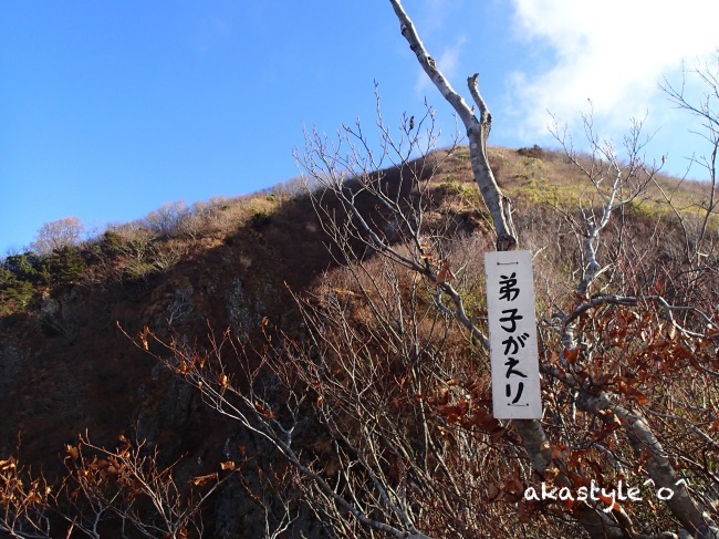 b0321359_17125387.jpeg