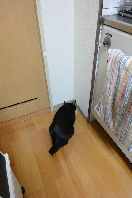 気分を変えて_f0054859_22482460.jpg