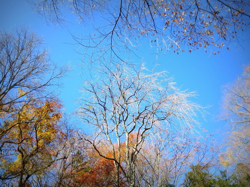 f0236260_22561671.jpg