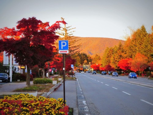 f0236260_23223829.jpg