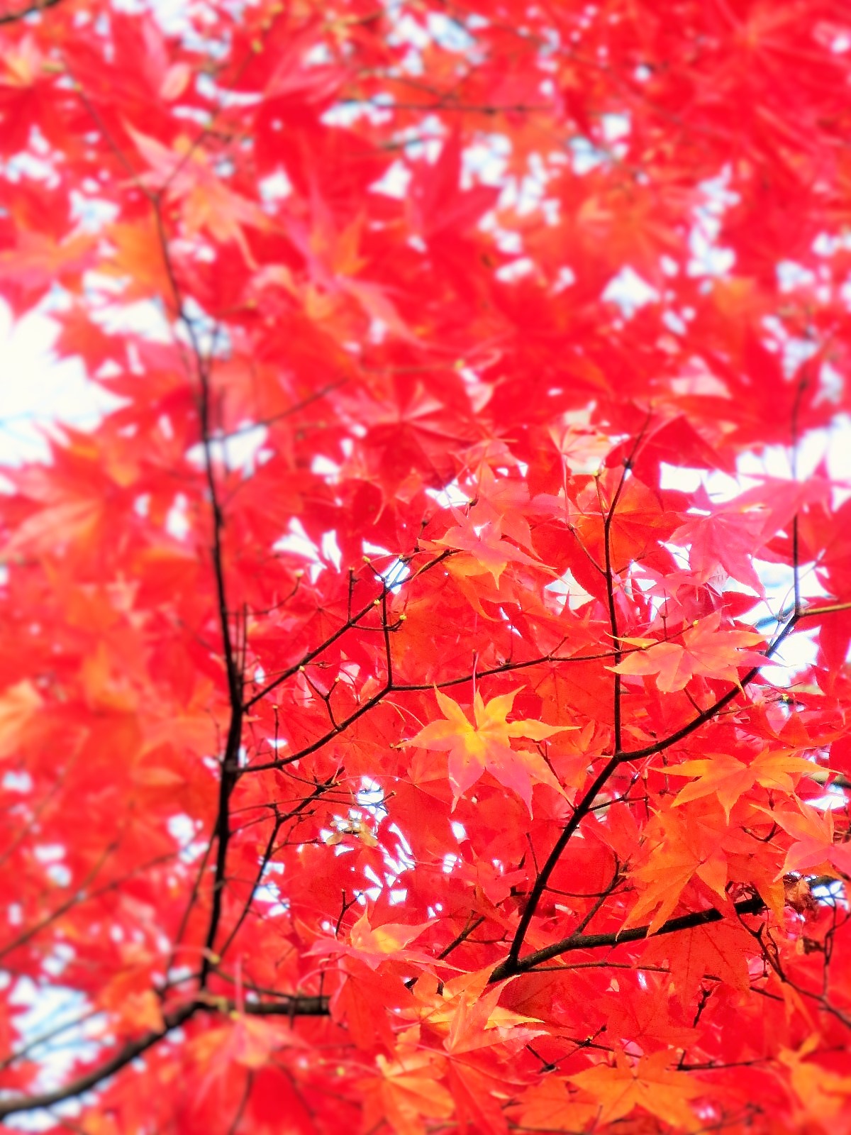 f0236260_2328898.jpg