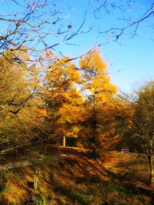 f0236260_239297.jpg