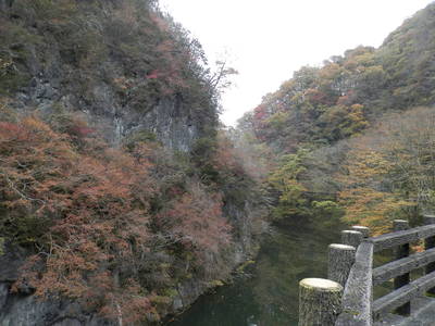 秋の最初で最後の・・・紅葉の旅・・・真剣編_d0195861_2224549.jpg