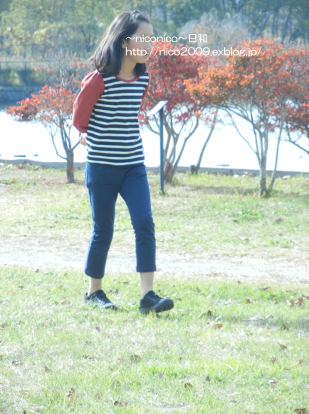 a0118264_15021810.png