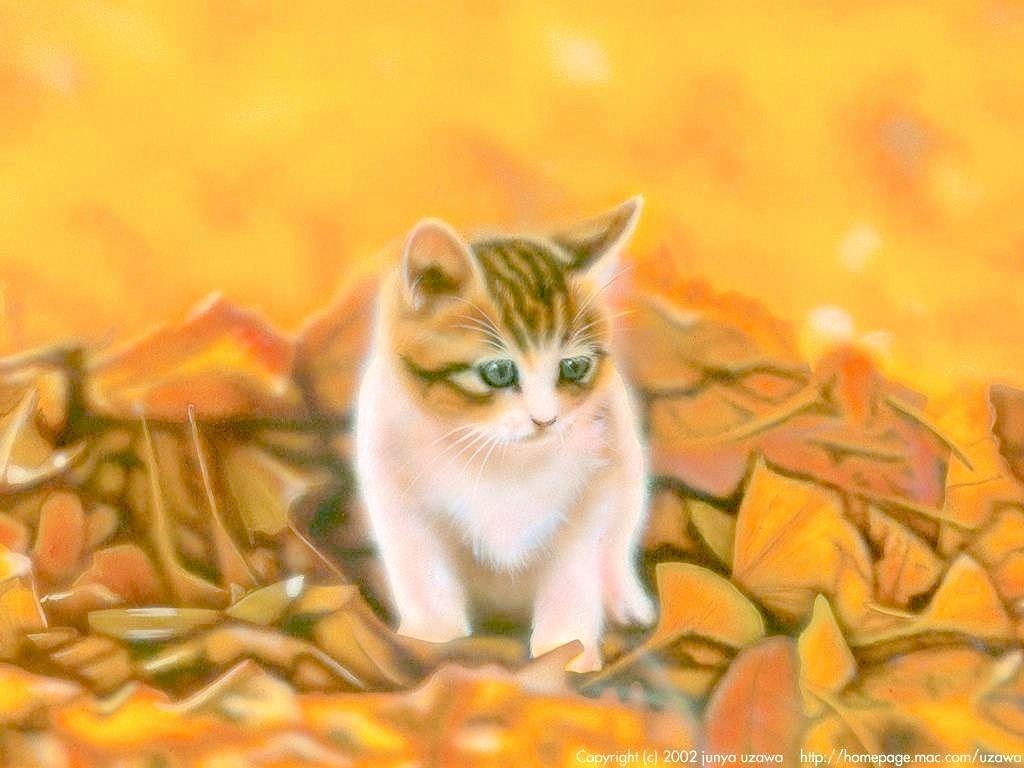 11月のデスクトップピクチャ 壁紙 Junya Blog 猫 犬 リアリズム絵画